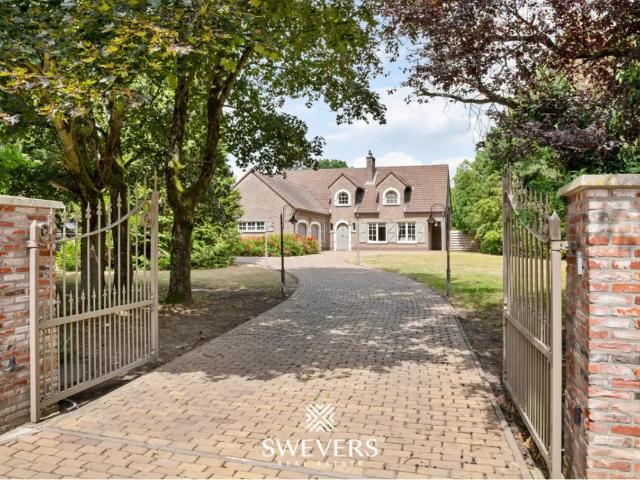 Chalet vente à Beringen, Limburg