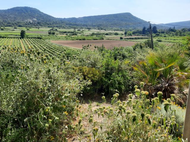 Villa vente à Le Vigan, Pompignan