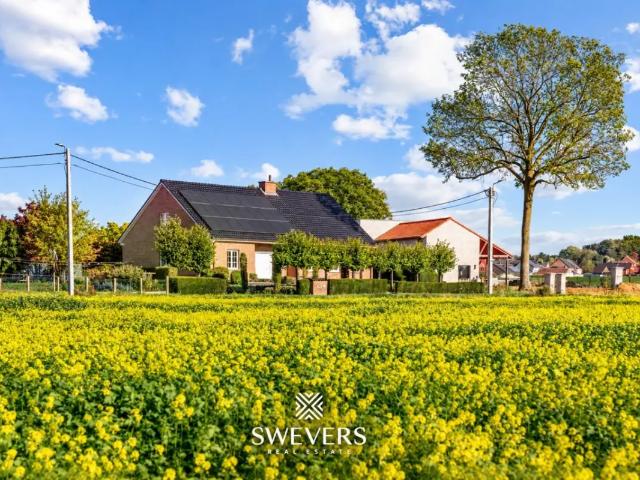 Chalet vente à Sint-Joris-Winge, Tielt-Winge