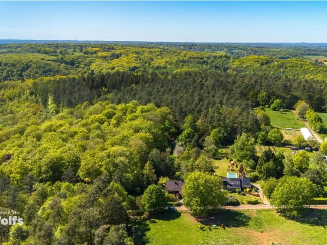 Chalet vente à Sprimont, Wallonie