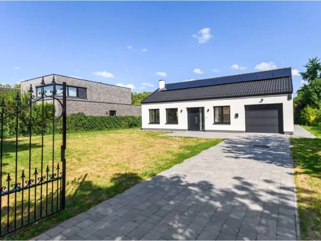 Chalet vente à Wommelgem, Antwerpen