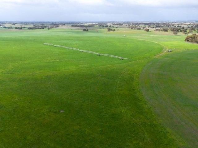Cottage for sale in Tintinara, South Australia