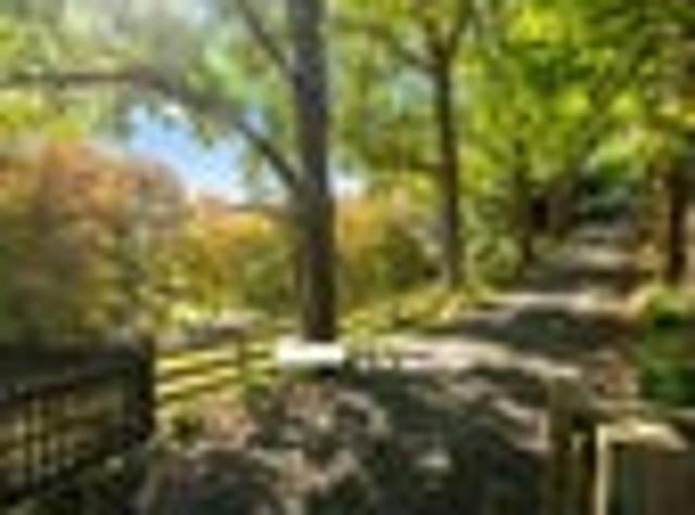 Land for sale in Kawau Island
