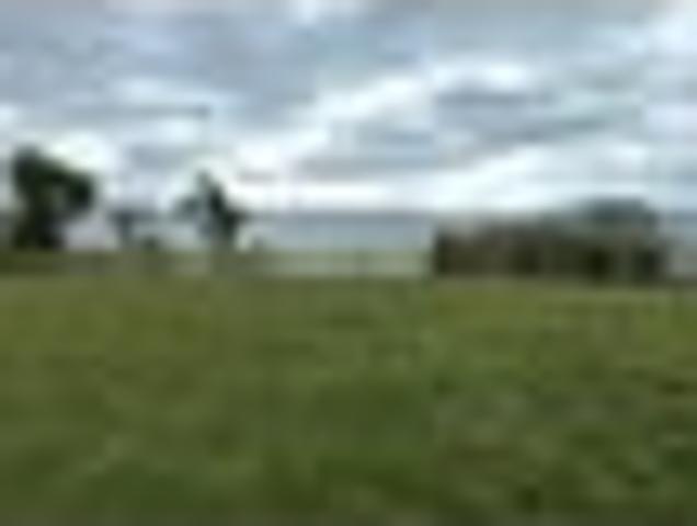 Land for sale in Bay Of Plenty
