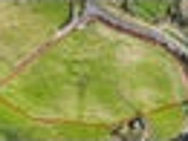 Land for sale in Waikato