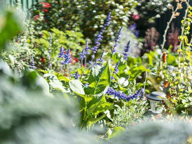 Villa for sale in Toombul, Queensland