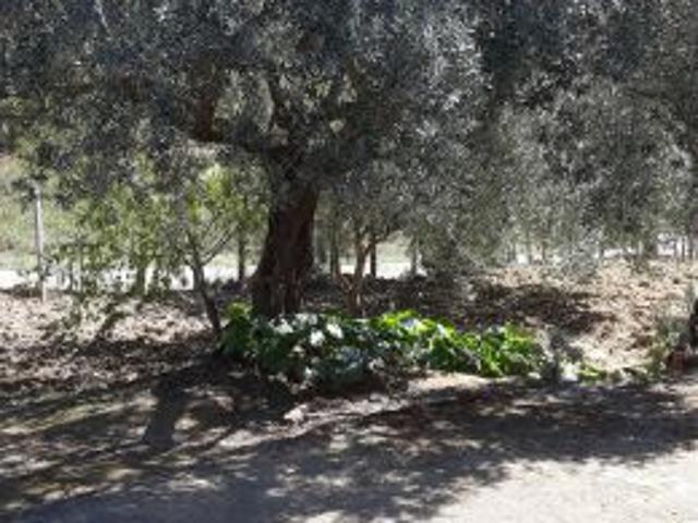 Terreno in vendita a Villarosa Sicilia, Sicilia