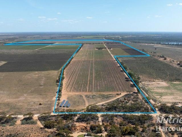 Property for sale in Cadell, South Australia