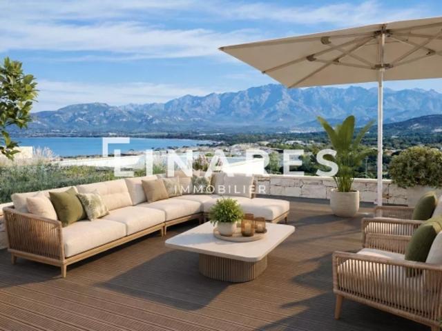 Appartement vente à Calvi