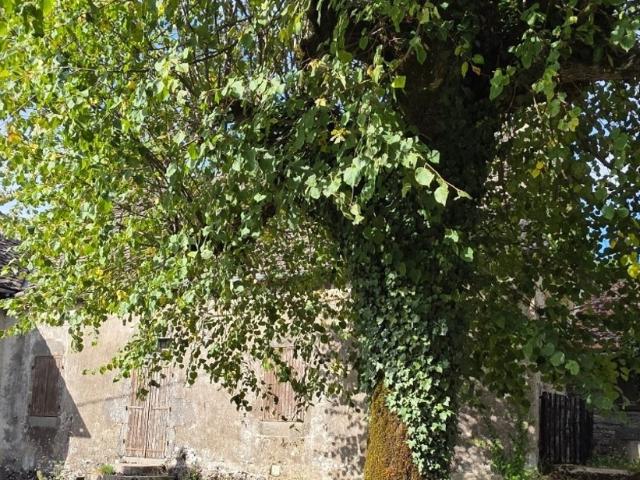 Maison vente à Les Verts, Moussages