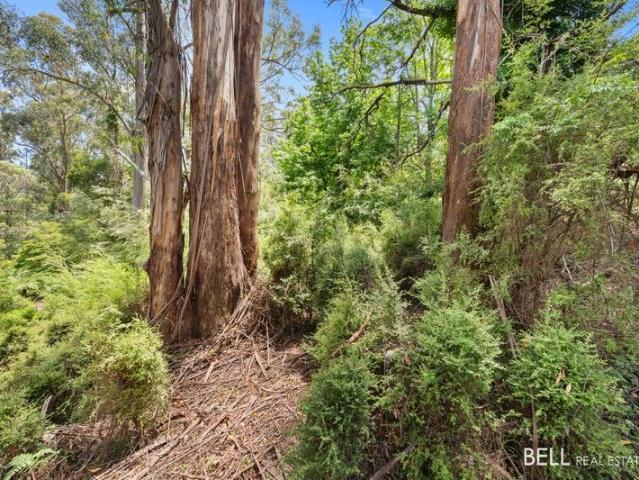 Land for sale in Camerons Creek, Victoria