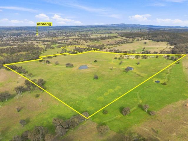 Property for sale in Molong, New South Wales