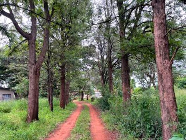 Farm for sale in Potgietersrus, Limpopo