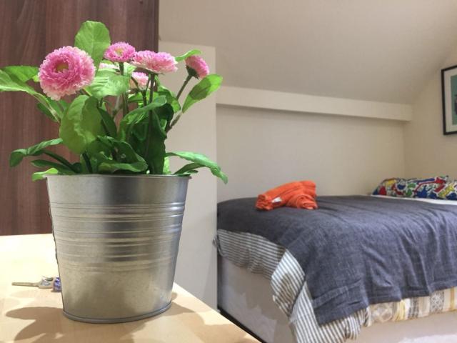 Studio for rent in Cricklewood, Greater London