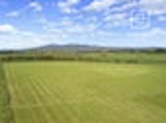 Land for sale in Waikato