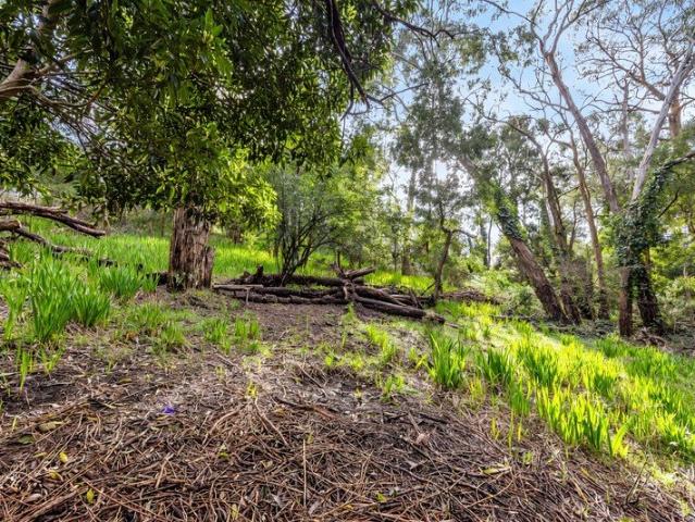 Land for sale in Stirling, South Australia