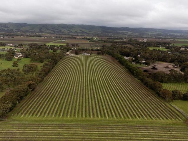 Cottage for sale in Horseshoe Creek, South Australia