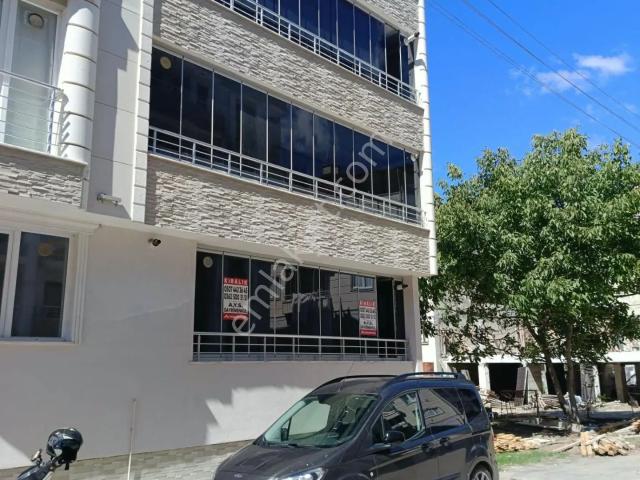 Bafra, Samsun içerisinde kiralık mülk