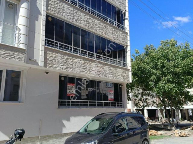 Altınyaprak Mahallesi, Bafra içerisinde kiralık mülk