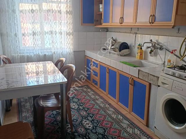 Bafra, Samsun içerisinde kiralık mülk