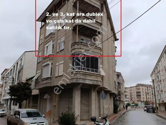 Bafra, Samsun içerisinde satılık mülk