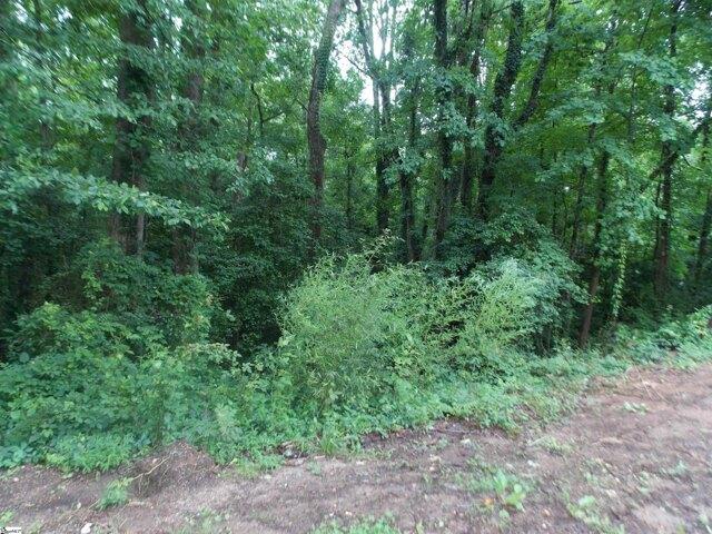Land for sale in Piedmont Land for sale in Piedmont