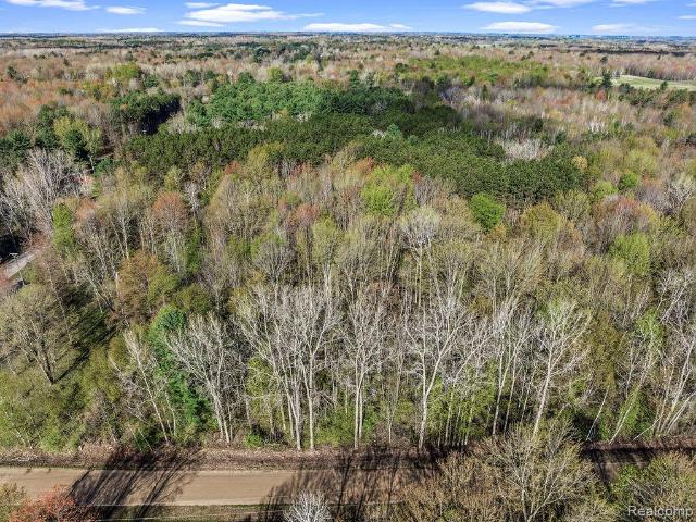 Land for sale in Tuscola, Michigan