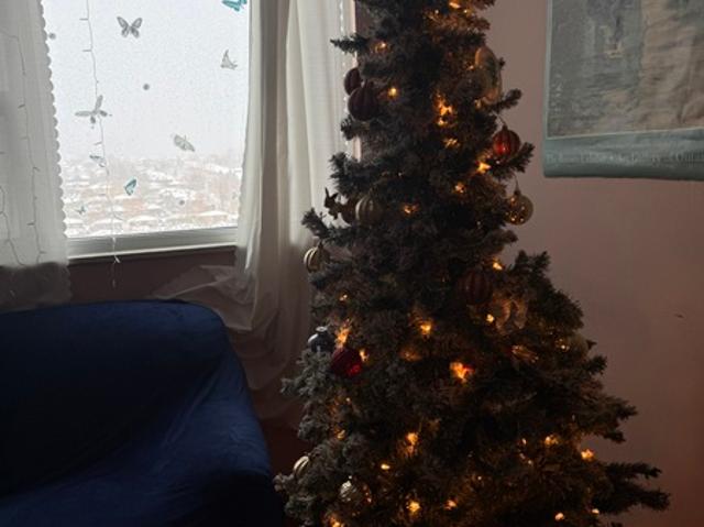 Room for rent in Woburn, Ontario