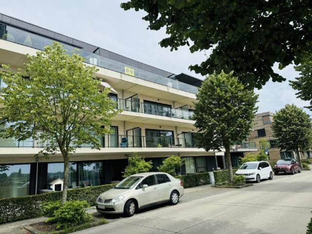 Appartement location à Tamise, Oost-Vlaanderen