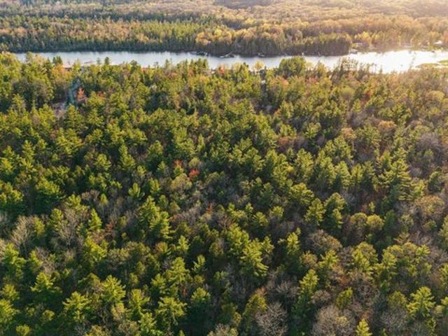 Land for sale in Alden, Michigan