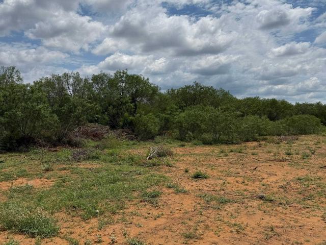 Land for sale in Cotulla