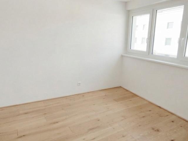 Wohnung mieten in Seestadt, Wien