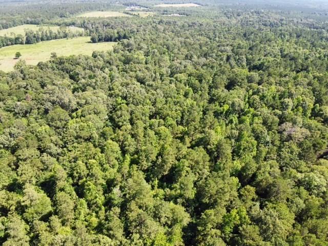 Land for sale in San Augustine, Texas