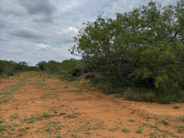 Land for sale in Cotulla