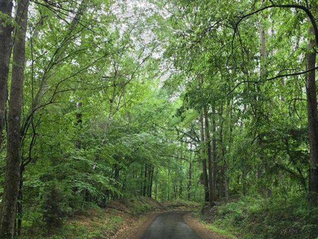 Land for sale in San Augustine, Texas
