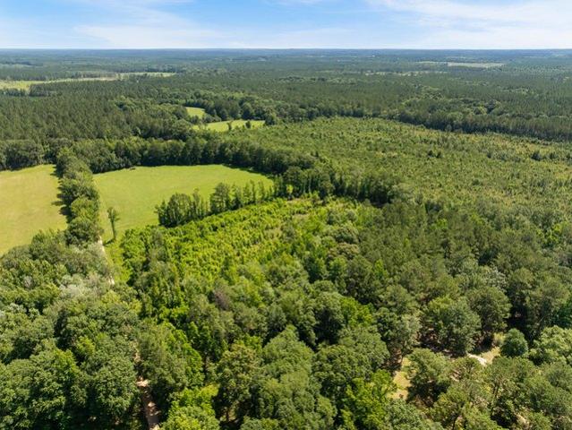 Land for sale in Richton, Perry County