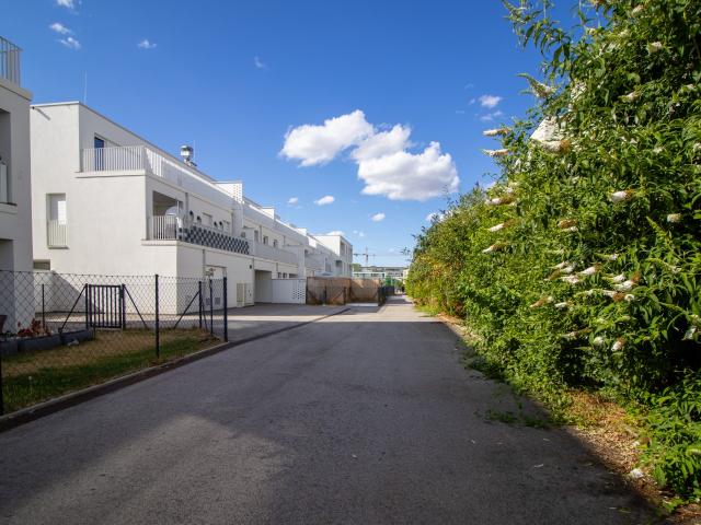 Apartment mieten in Floridsdorf, Wien