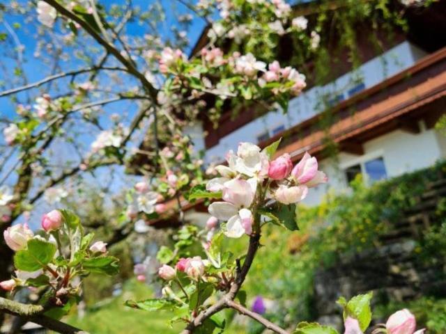 Haus kaufen in Niederndorf, Tirol