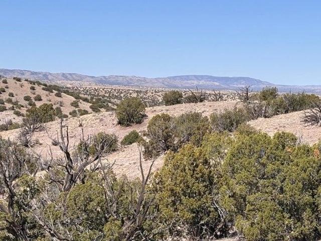 Land for sale in Magdalena, New Mexico