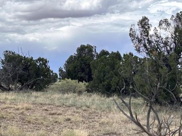 Land for sale in Magdalena, New Mexico