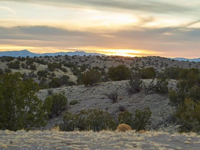 Land for sale in Magdalena, New Mexico