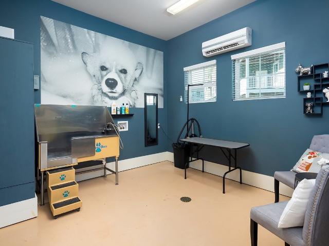 Apartment for rent in Greenville, South Carolina