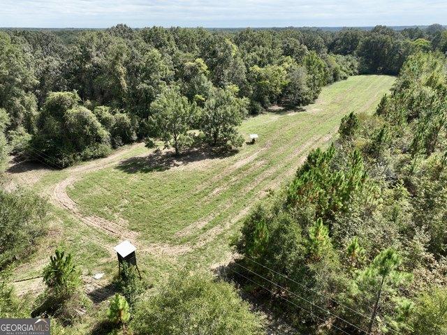 Land for sale in Pineview, Wilcox County