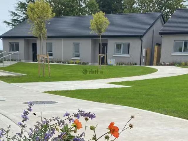 House to rent