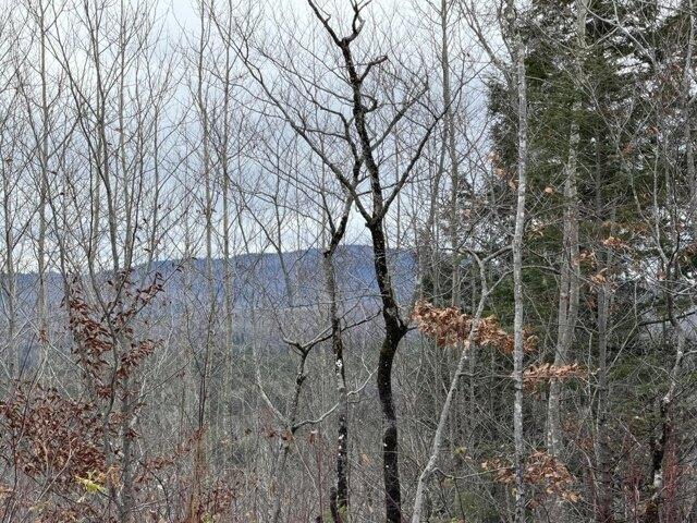 Land for sale in Abbot, Maine
