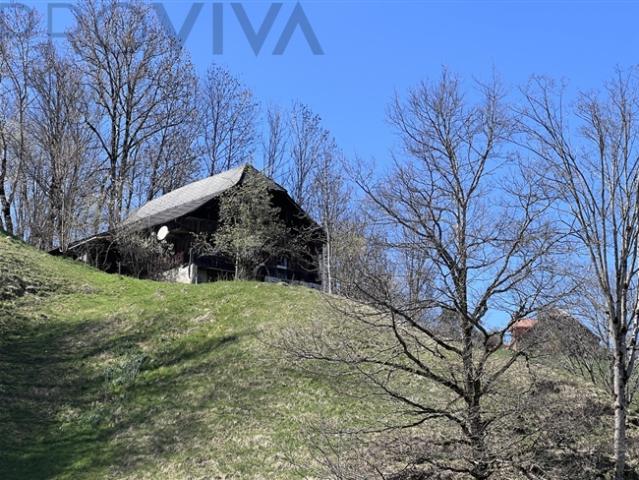 Einfamilienhaus kaufen in Riffenmatt, Bern