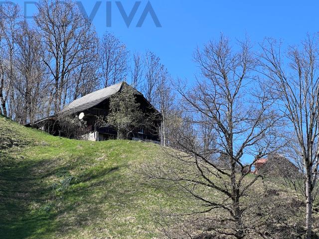 Reihenfamilienhaus kaufen in Riffenmatt, Bern