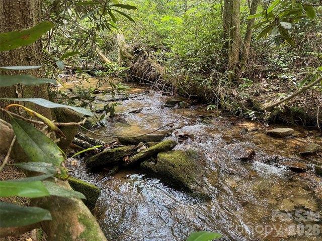 Land for sale in Transylvania, North Carolina