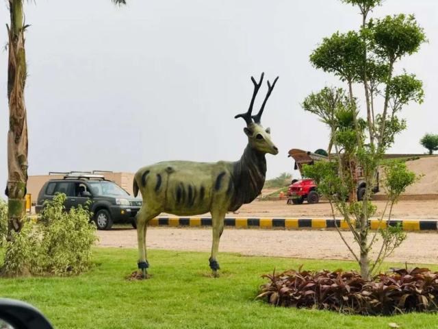 Land for sale in Rawalpindi, Islamabad Capital Territory