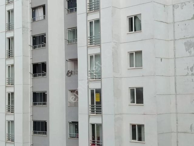 Abdullah Paşa Mahallesi, Elâzığ Merkez içerisinde kiralık mülk